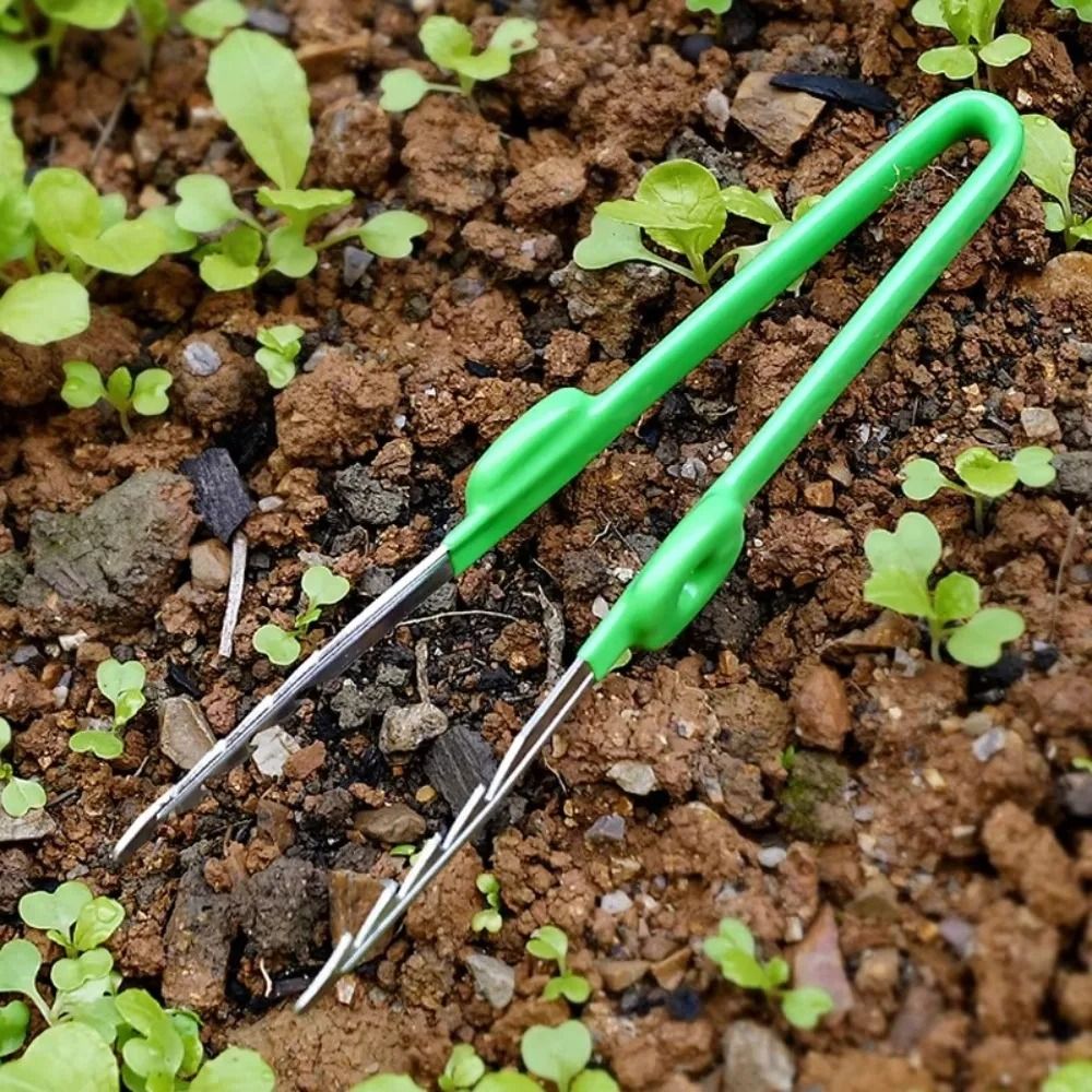 Planted Clip Tweezers - Stainless Steel Gardening Tweezers Solid Stainless