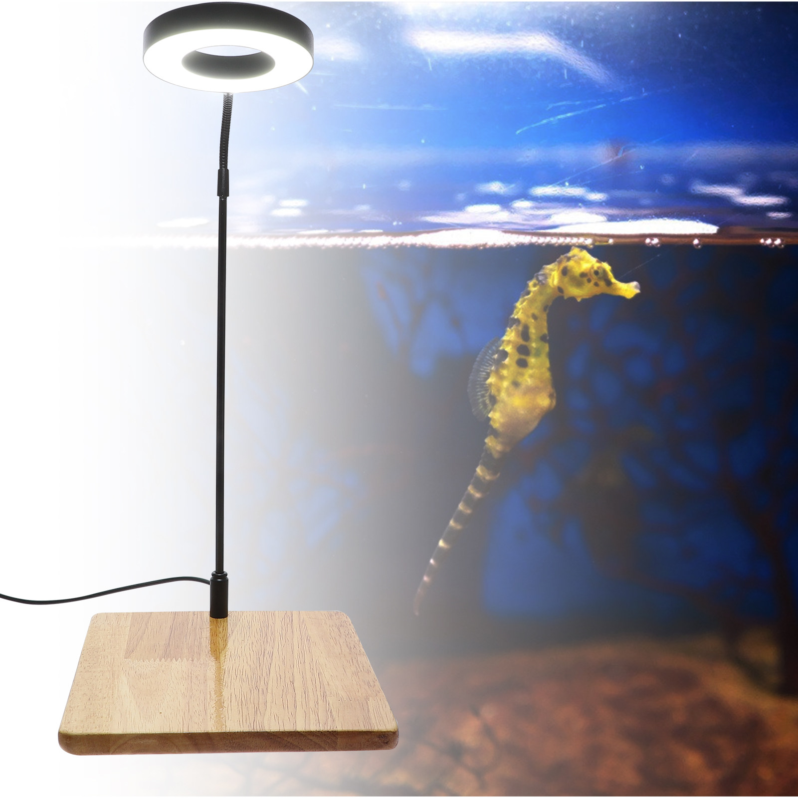 Aquarium For Planted Tank - 1Pcs Aquarium Fill Light High Brightness