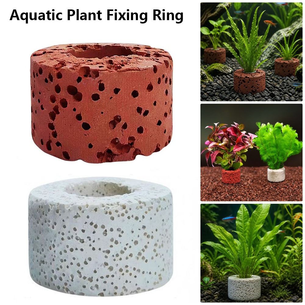 Planted Aquarium Pictures - 10Pcs Weighted Ring Aquatic Plant Fixing