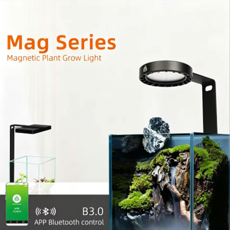 Planted Aquarium Freshwater - WEEK AQUA Mag Pro Mag Max