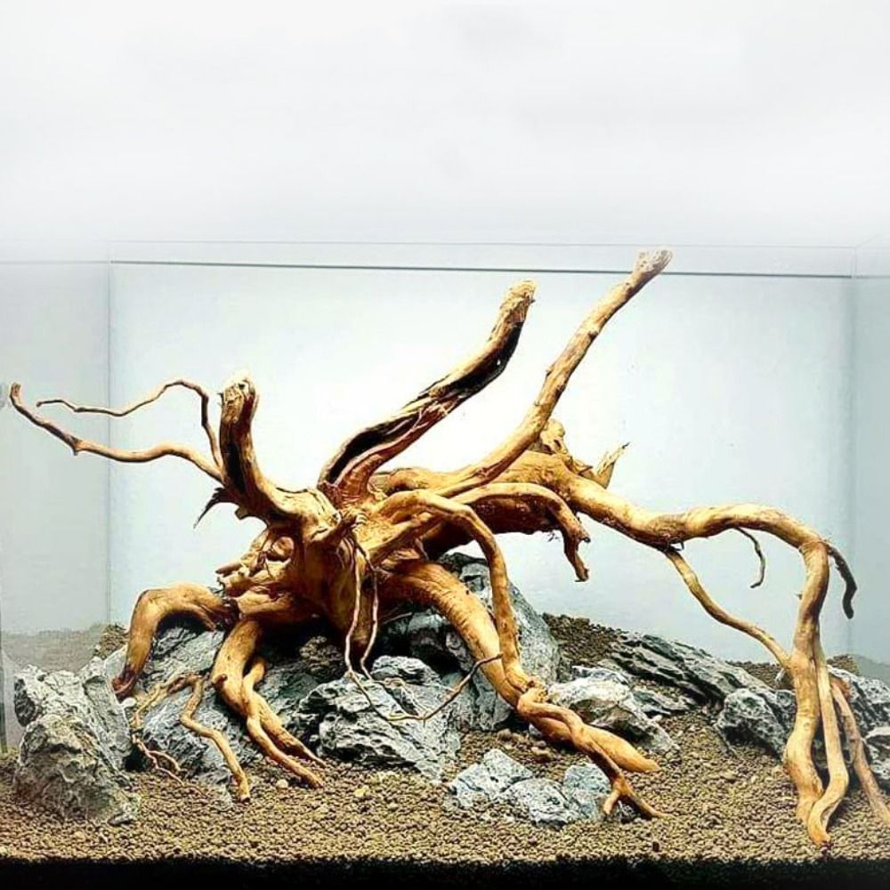 Aquarium Plant Roots - Natural Tree Trunk Aquarium Decoration Wood