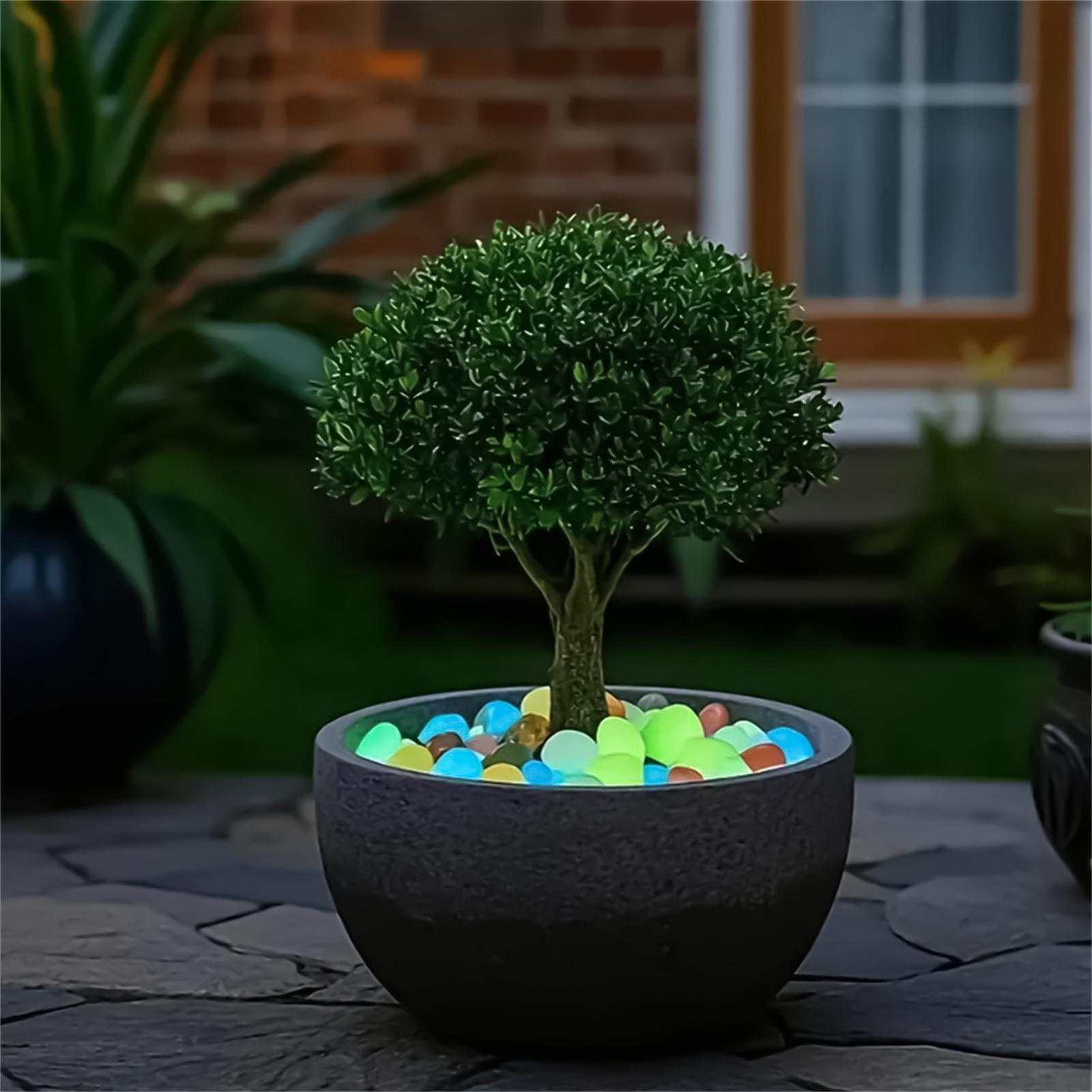 Planted Aquarium With Rocks - Landscaping Rocks 20 Pieces 1.8 Inch