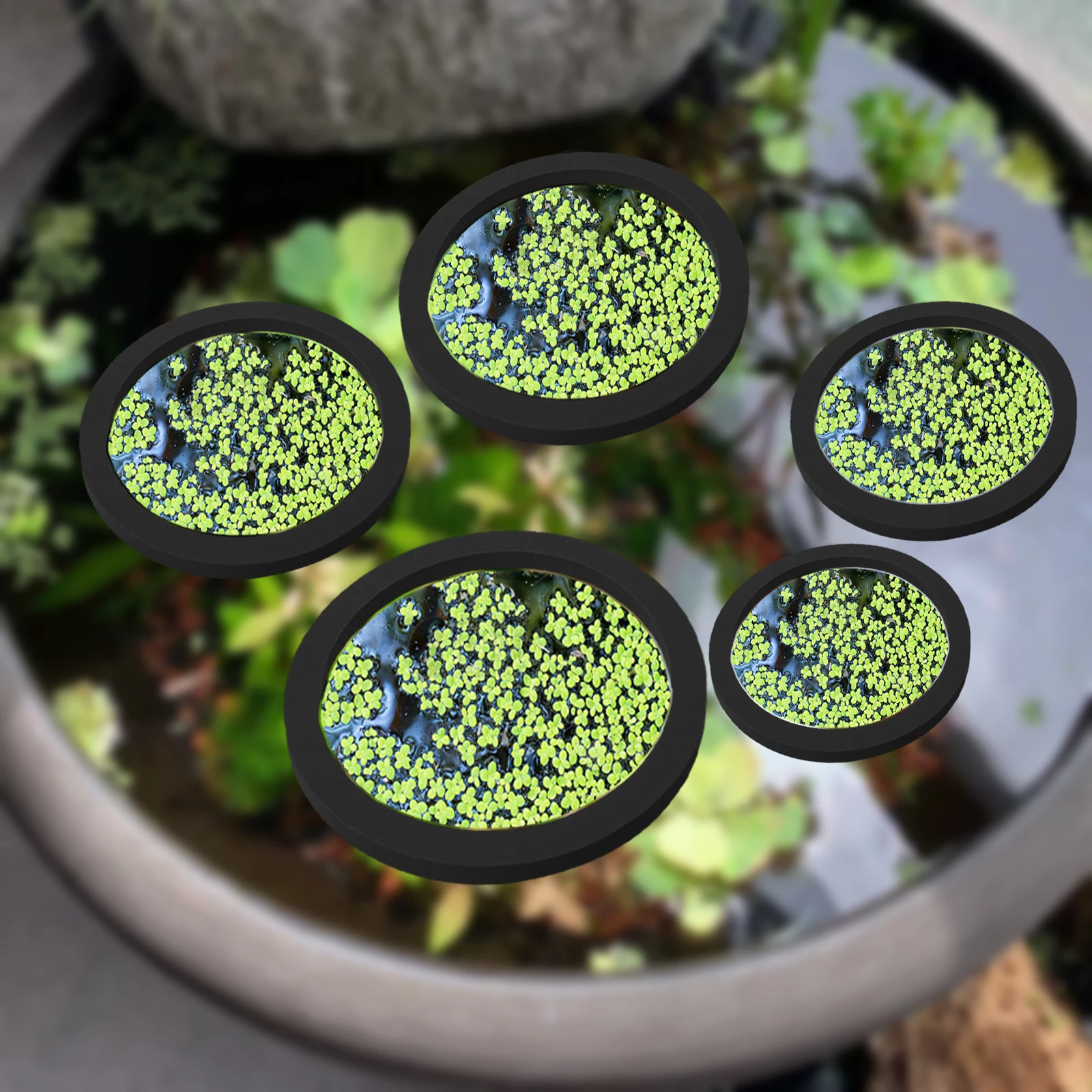 Aquarium Planted Tank - 5Pcs EVA Fish Feeding Ring Aquarium