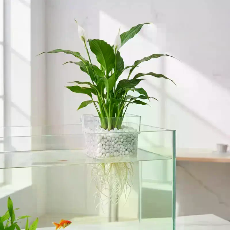 Fish Tank Aquatic Plant Cup 2  - Aquarium Plant Roots recension och pris