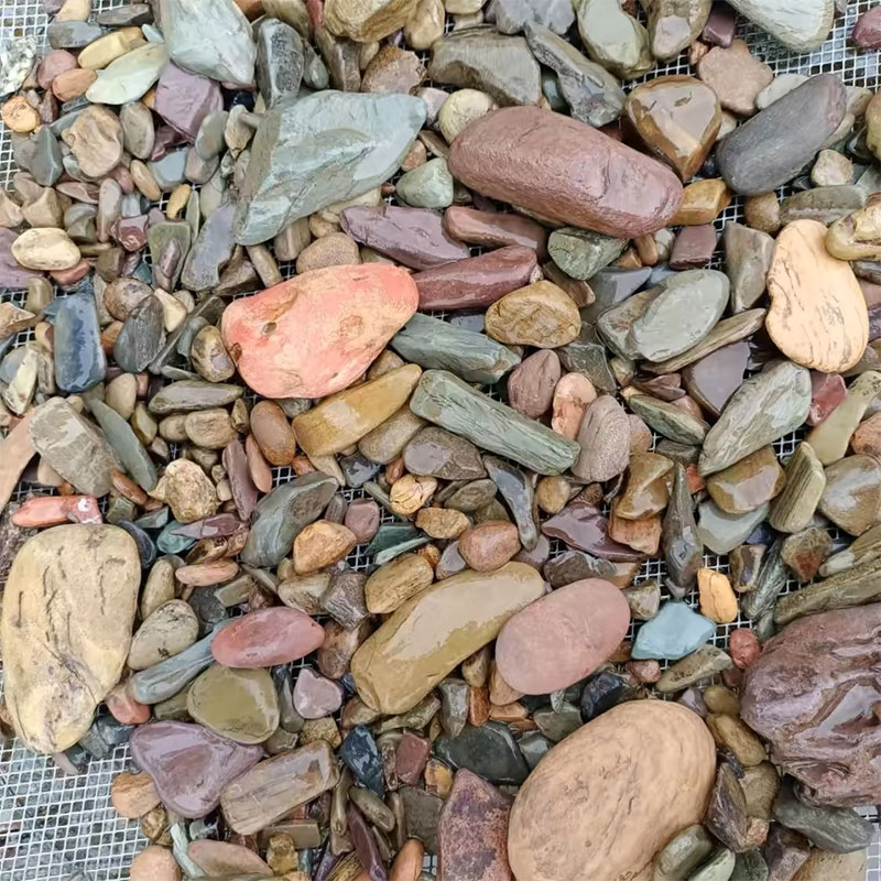 500g Fish Tank Bottom Sand Sto - Aquarium Planted Sand recension och pris