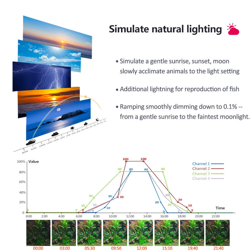 PopBloom Professional Planted  - Planted Aquarium Freshwater recension och pris