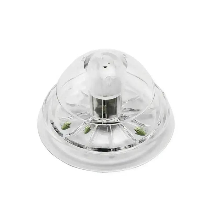2026 New 6/8CM Clear Plastic S - Aquarium Planted Tank recension och pris