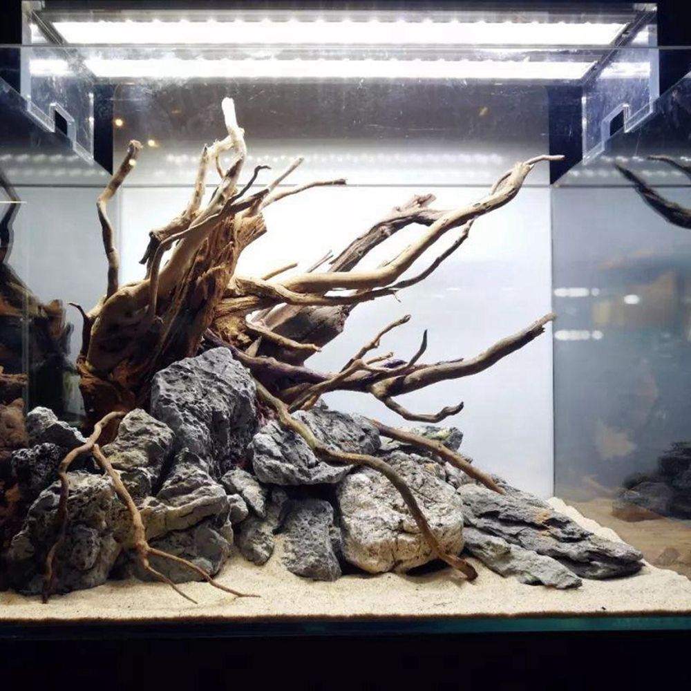 Wood N1N Reptile Tank Backgrou - Aquarium Plant Roots recension och pris