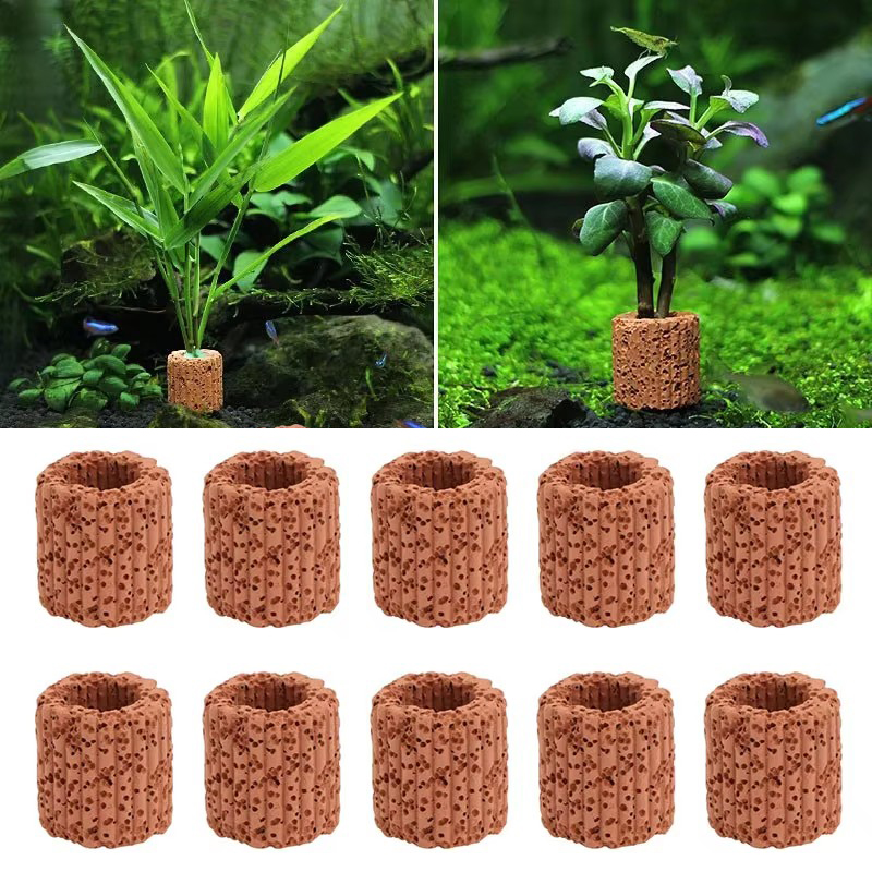 Aquatic Plant Fixed Ring for A - Planted Aquarium Products recension och pris
