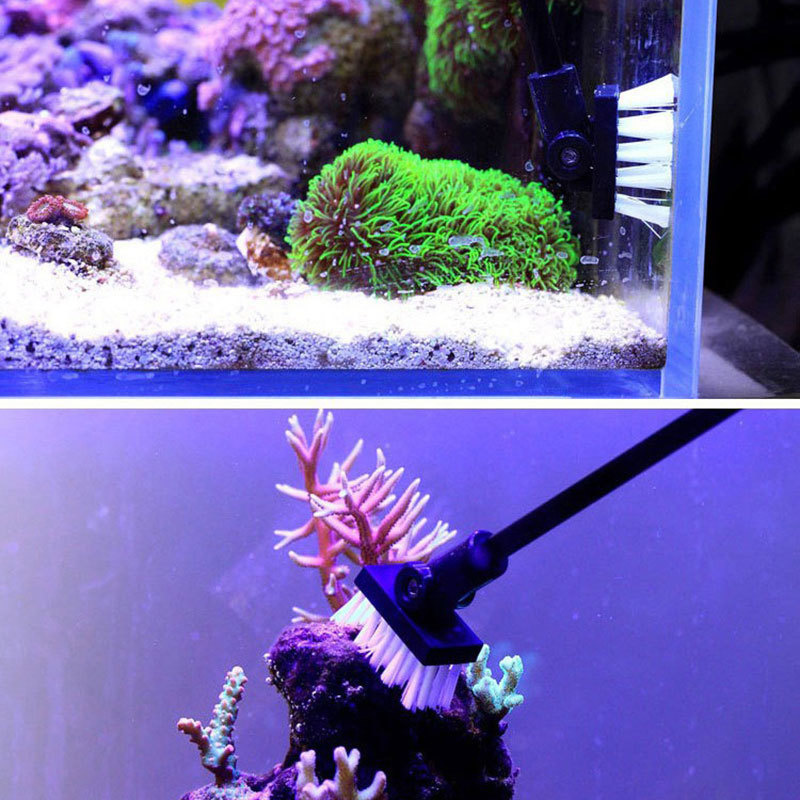 Fishing Cleaning Brush Plant T - Planted Aquarium Freshwater recension och pris