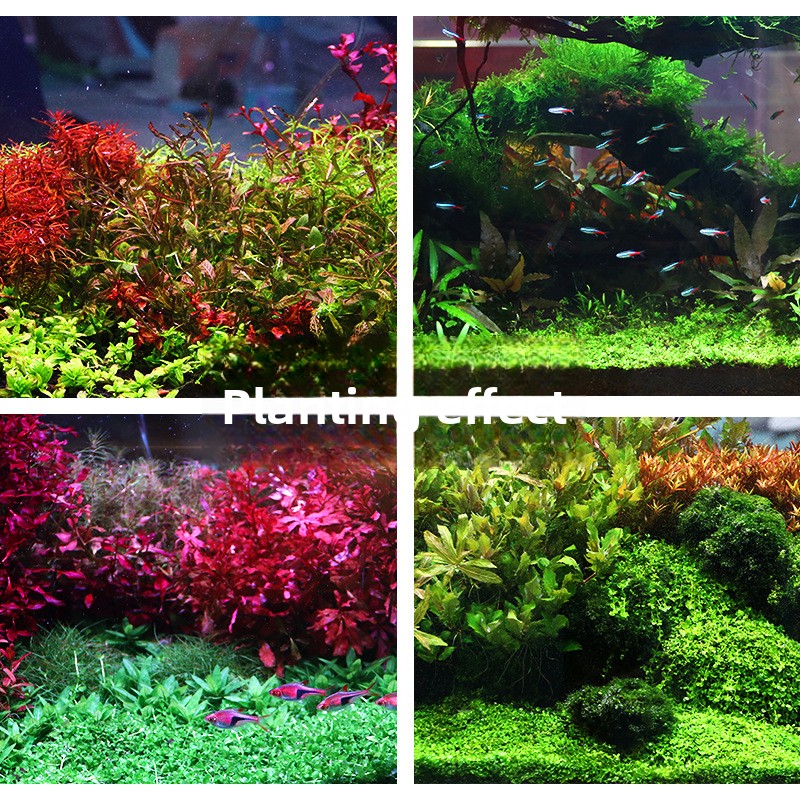 SYSENCIAGA Planted Aquarium Su - Aquarium Planted Sand recension och pris