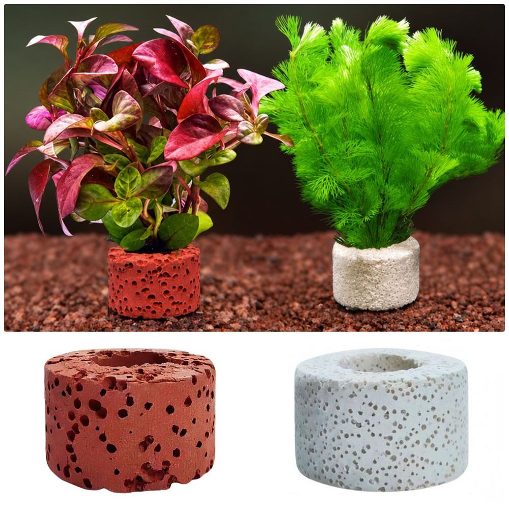 10Pcs Weighted Ring Aquatic Pl - Planted Aquarium Pictures recension och pris