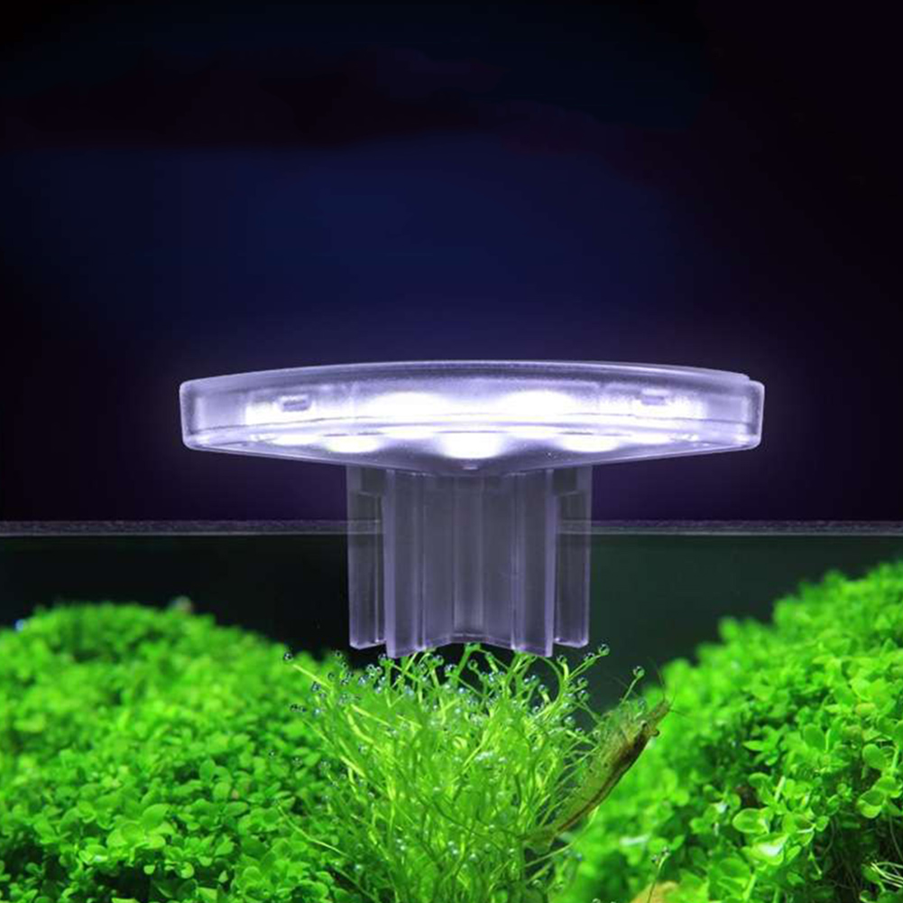 LED Plants Grow Lamp Energy-Ef - Aquarium Plant Easy To Grow recension och pris