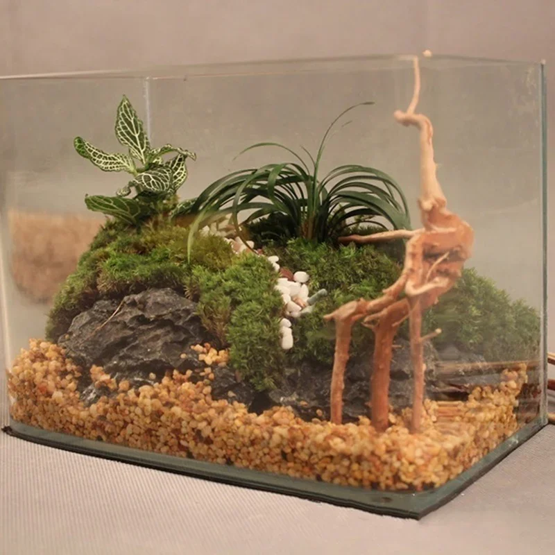 Natural Tree Trunk Driftwood A - Aquarium Plant Root Tabs recension och pris