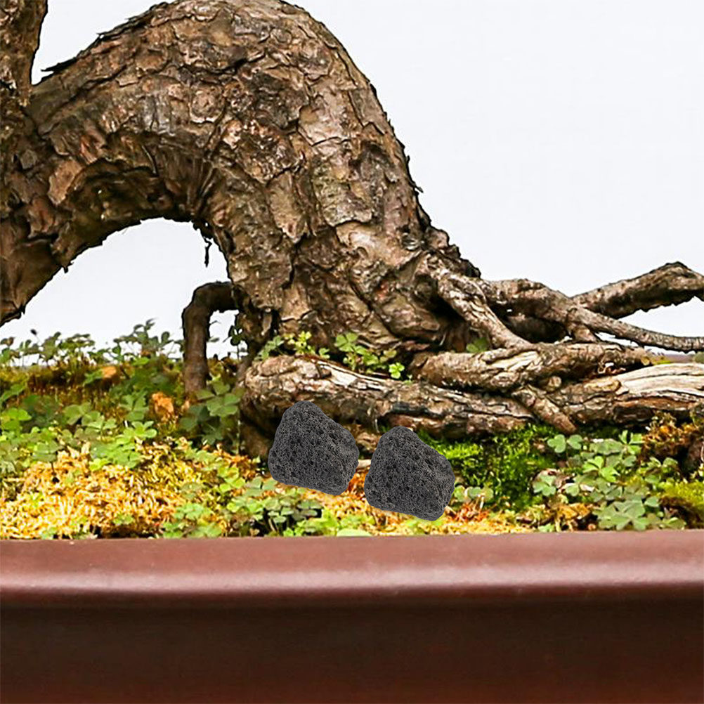 Fish Tank Volcanic Rocks Natur - Planted Aquarium With Rocks recension och pris