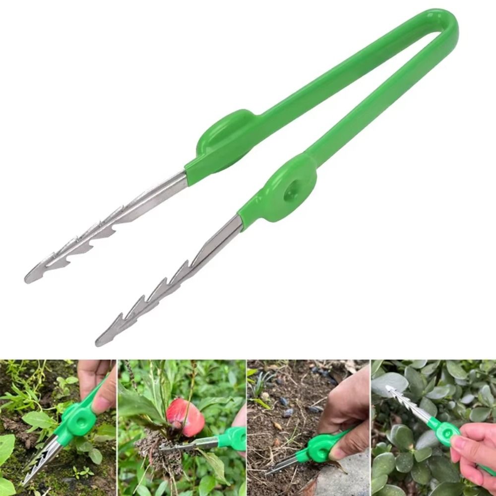 Stainless Steel Gardening Twee - Planted Clip Tweezers recension och pris