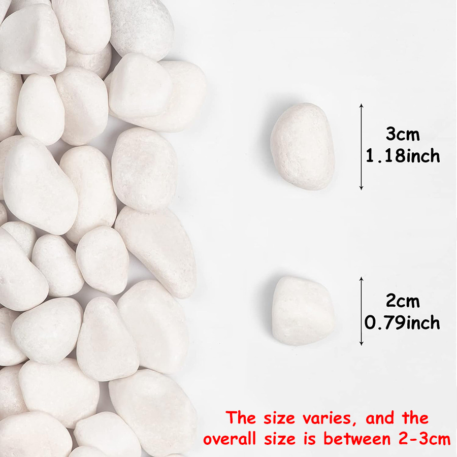 200/400g White High Polished N - Aquarium Planted Tank recension och pris