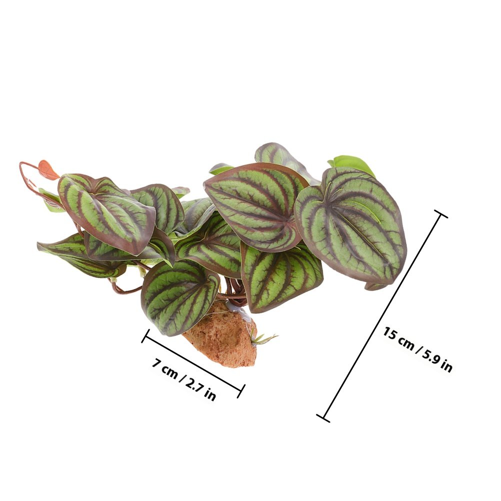 Realistic Terrarium Plants Rep - Aquarium Plant Ornament recension och pris