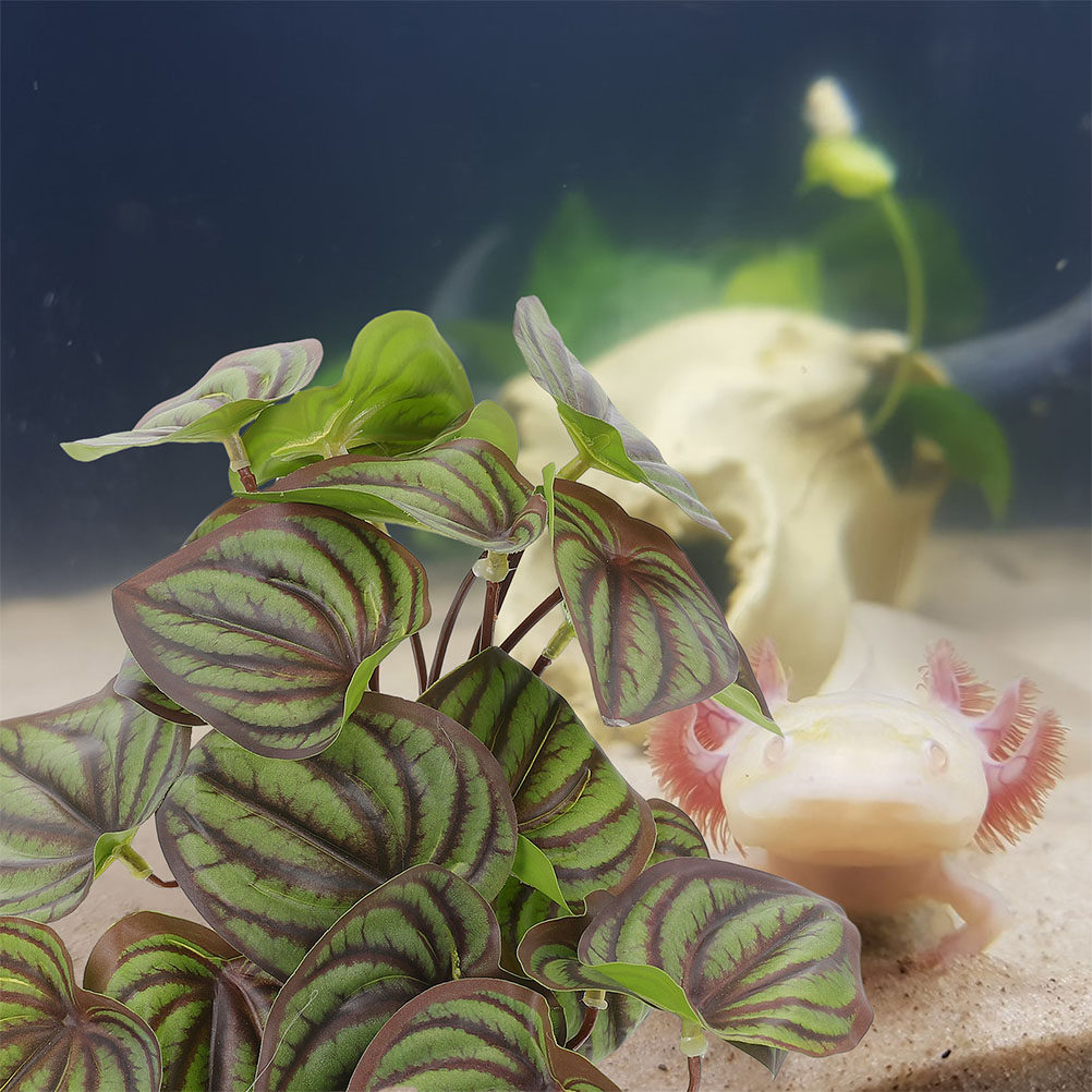 Realistic Terrarium Plants Rep - Aquarium Plant Ornament recension och pris