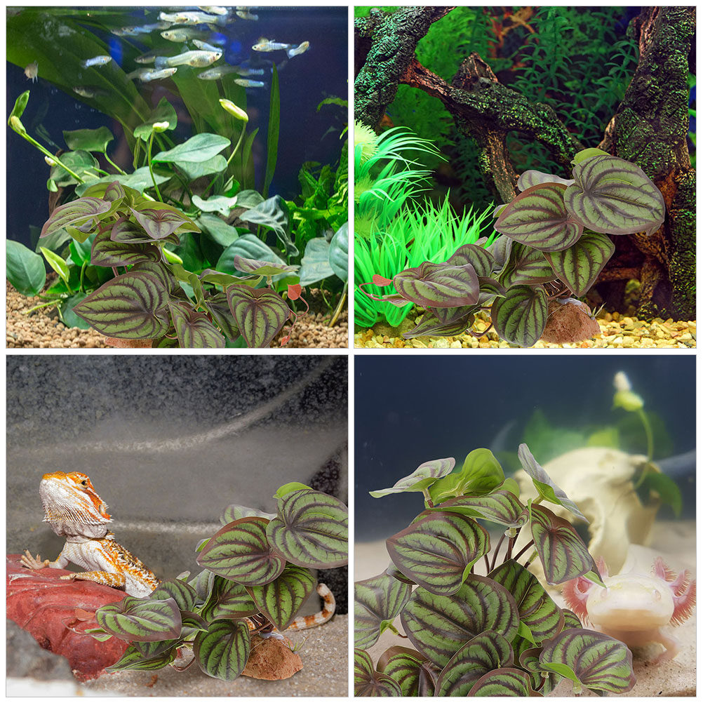 Realistic Terrarium Plants Rep - Aquarium Plant Ornament recension och pris