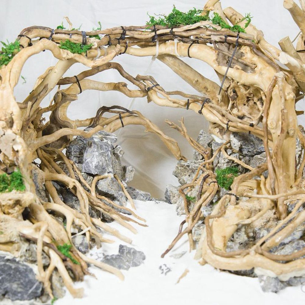 1 Pcs Wood Reptile Fish Tank O - Aquarium Plant Roots recension och pris
