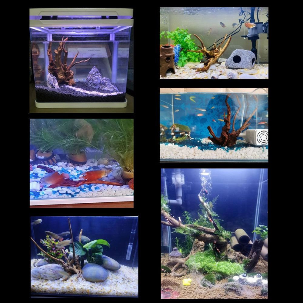 Natural Tree Trunk Aquarium De - Aquarium Plant Roots recension och pris
