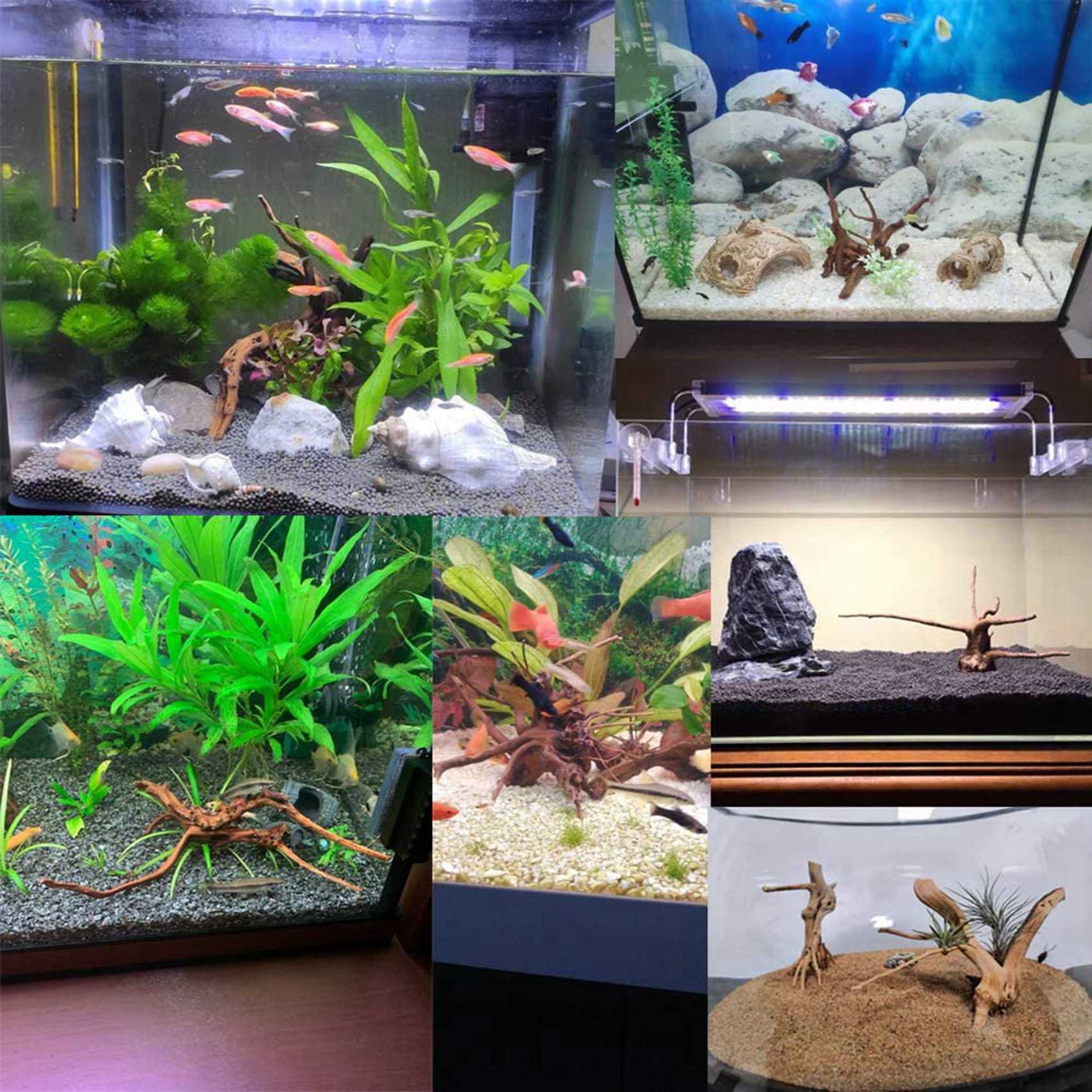 Hot Sale-Mini Driftwood For Aq - Aquarium Plant Root Tabs recension och pris