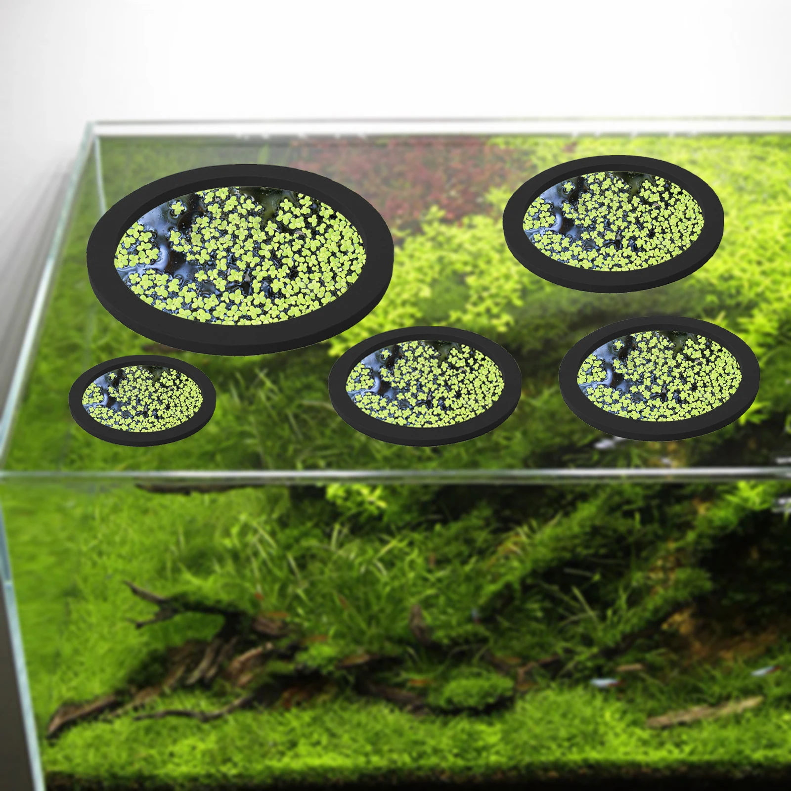 5Pcs EVA Fish Feeding Ring Aqu - Aquarium Planted Tank recension och pris
