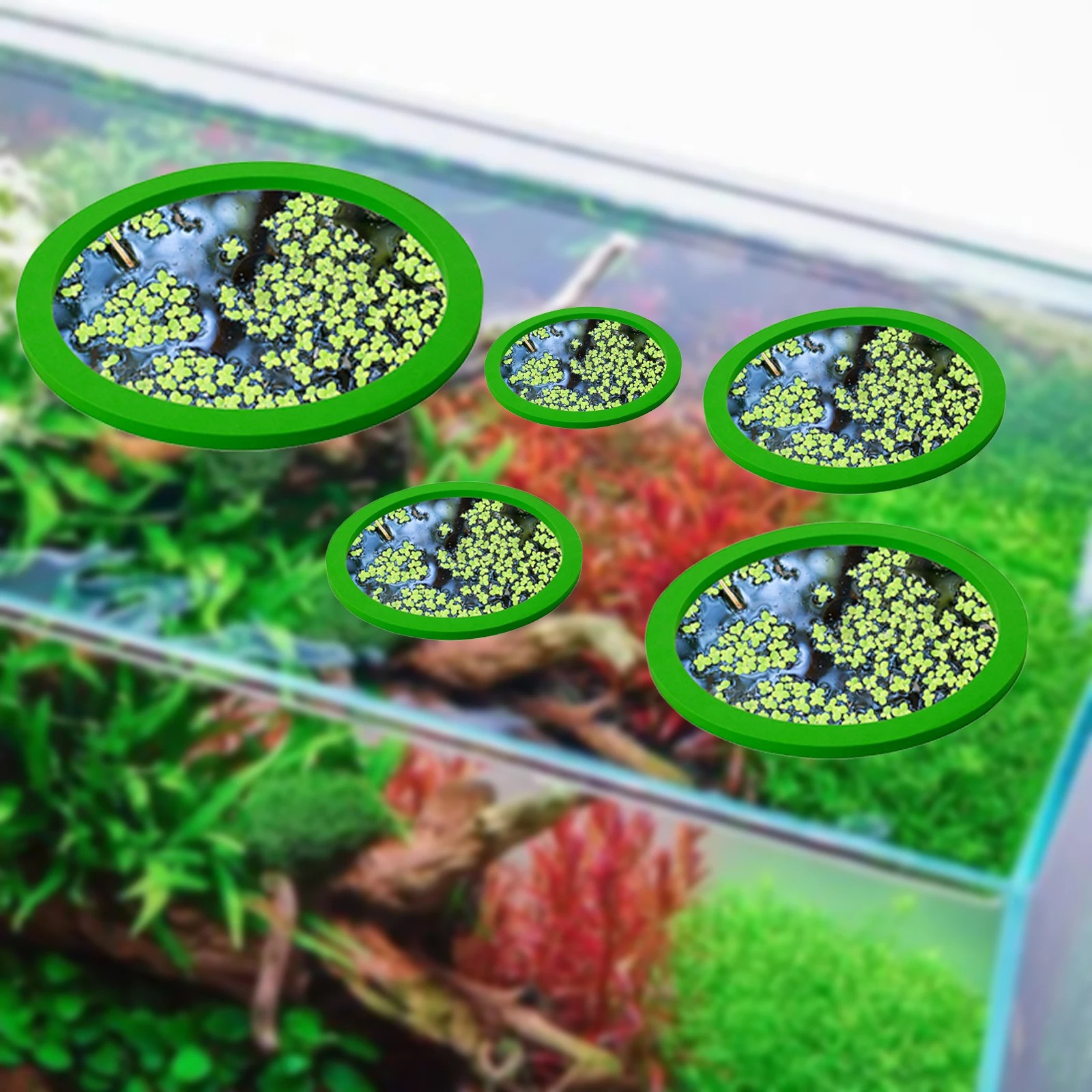5Pcs EVA Fish Feeding Ring Aqu - Aquarium Planted Tank recension och pris