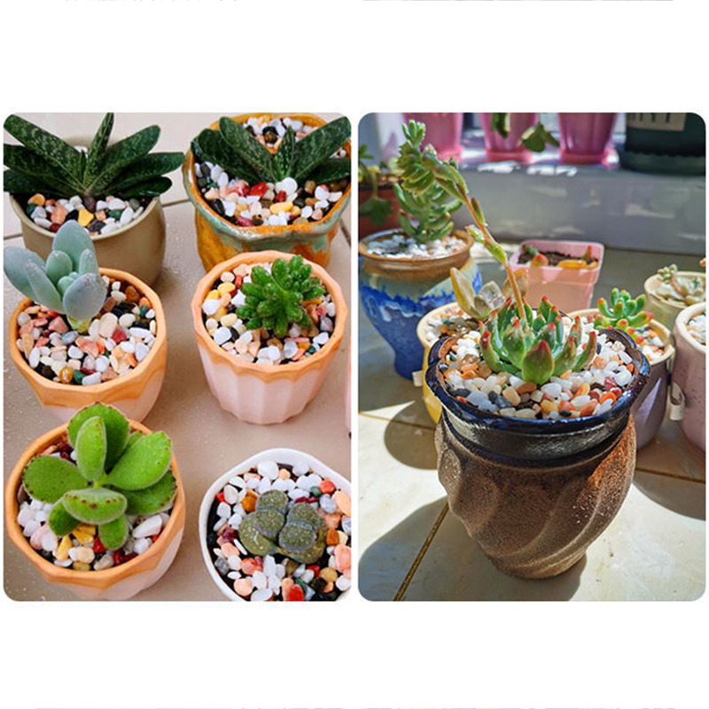 Fish Tank Bottom Sand DIY Acce - Aquarium Planted Sand recension och pris