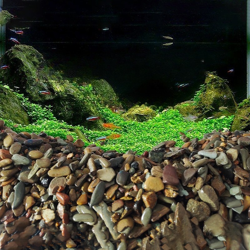 Stream Pebbles Aquarium Bottom - Aquarium Planted Sand recension och pris