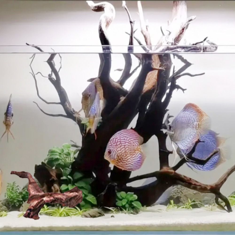Creative Irregular Shape Coral - Aquarium Plant Roots recension och pris