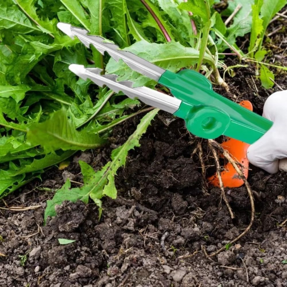 Stainless Steel Gardening Twee - Planted Clip Tweezers recension och pris