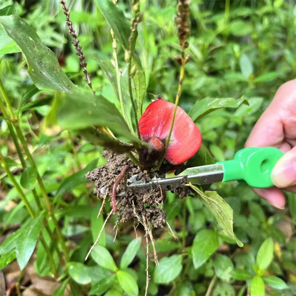 Stainless Steel Gardening Twee - Planted Clip Tweezers recension och pris