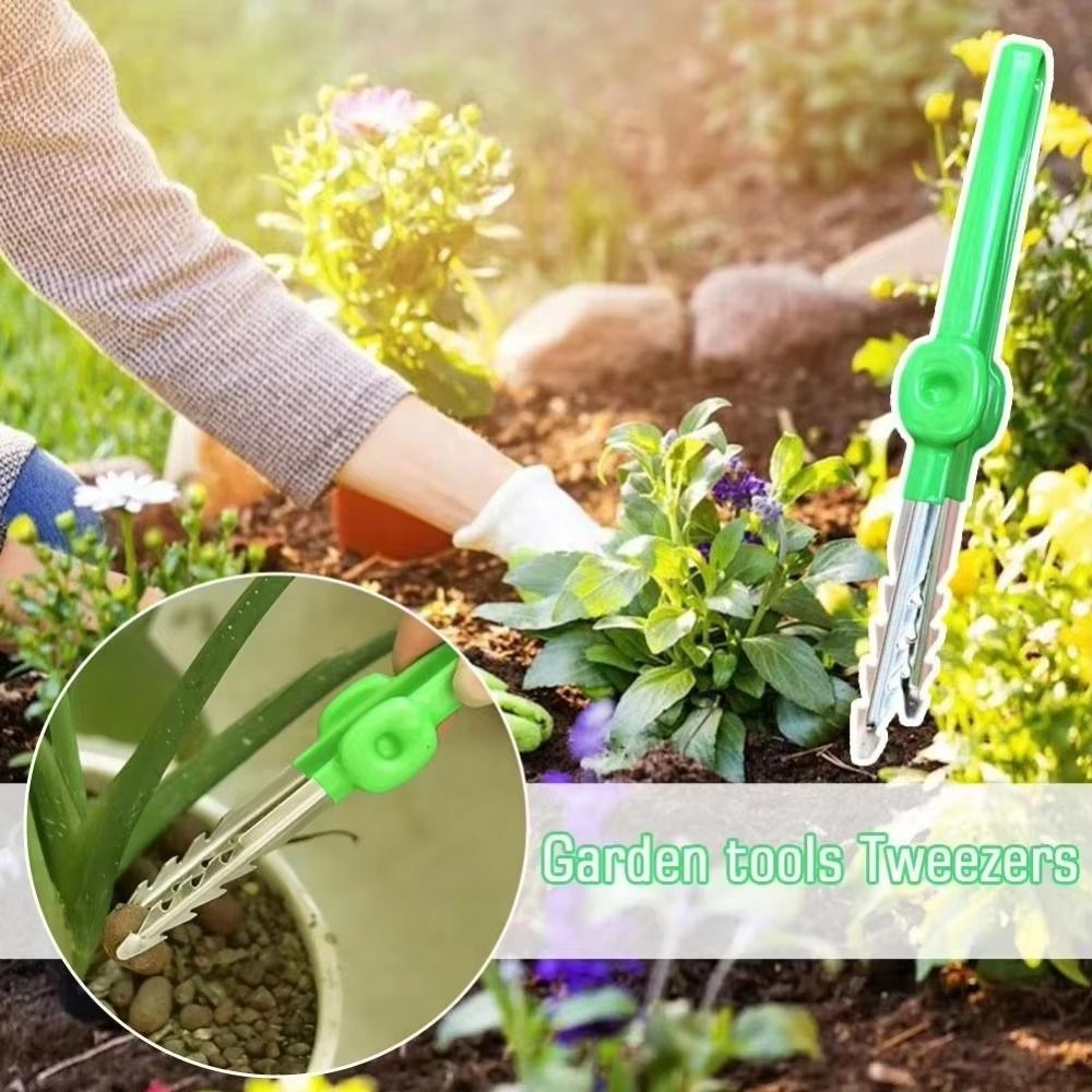 Stainless Steel Gardening Twee - Planted Clip Tweezers recension och pris