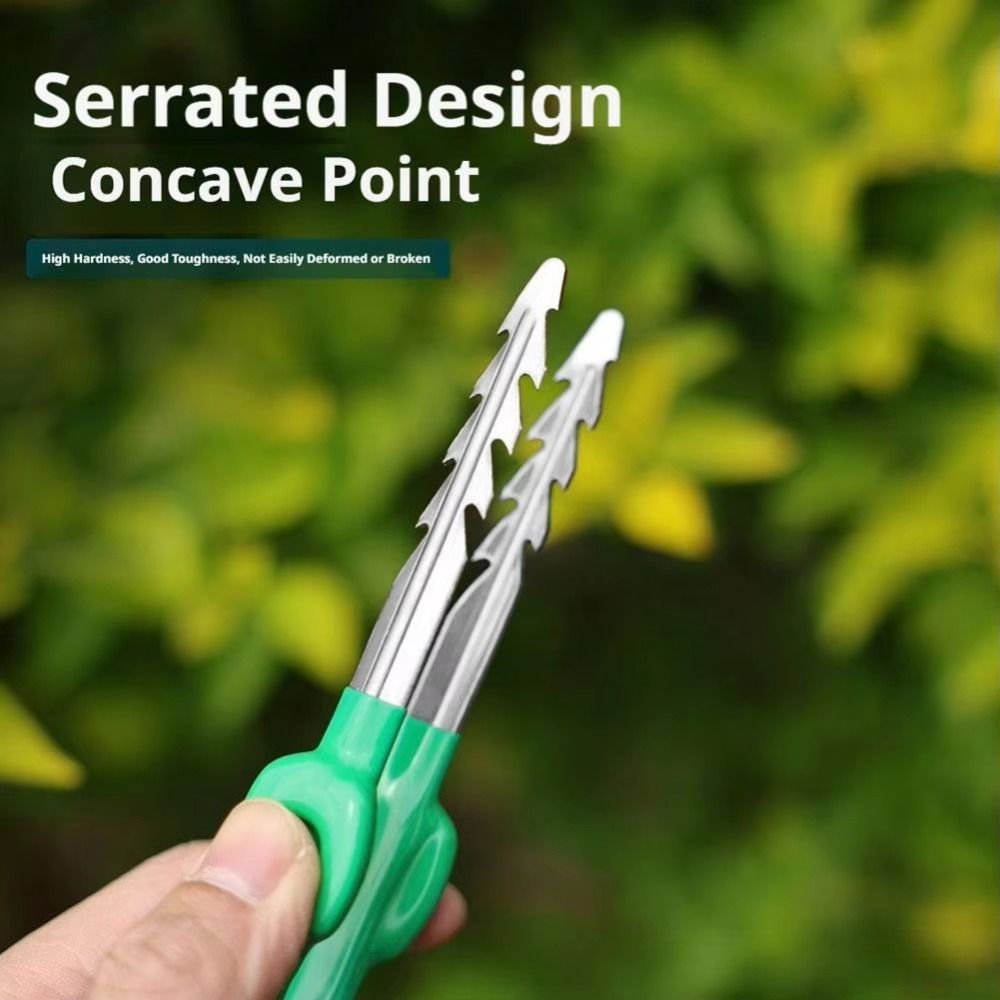 Stainless Steel Gardening Twee - Planted Clip Tweezers recension och pris