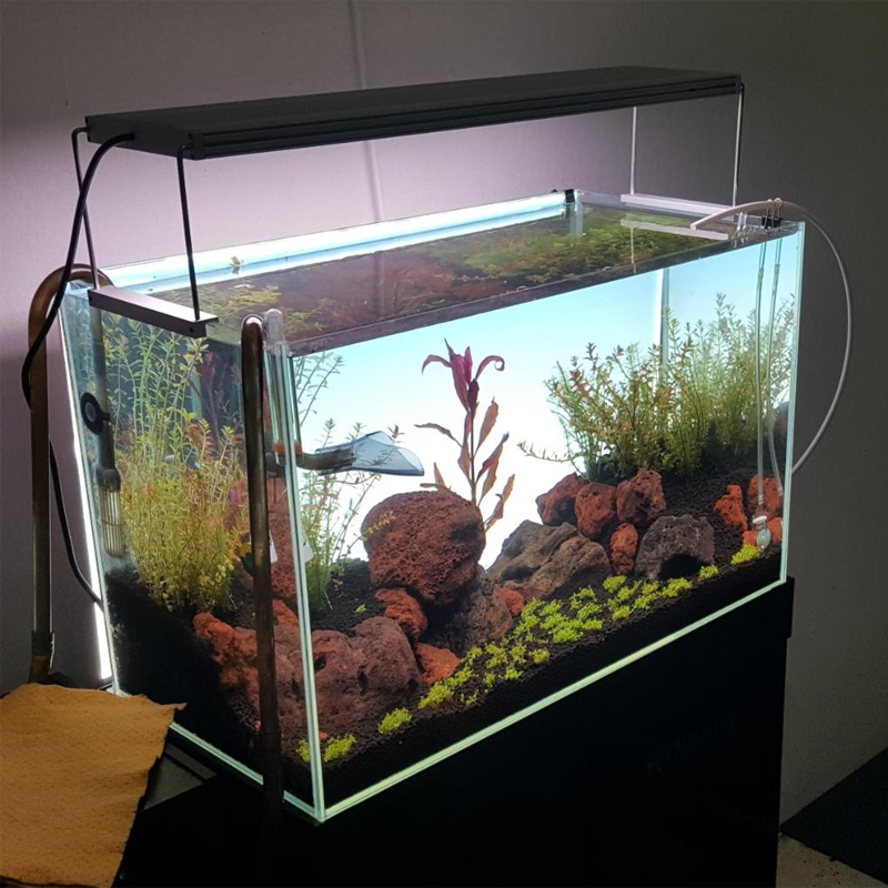Best-selling white LED aquariu - Planted Aquarium Best Fish recension och pris