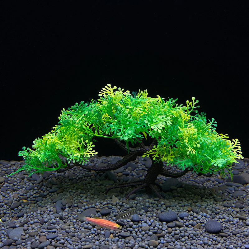 Aquarium bonsai tree, plant, f - Aquarium Plant Root Tabs recension och pris