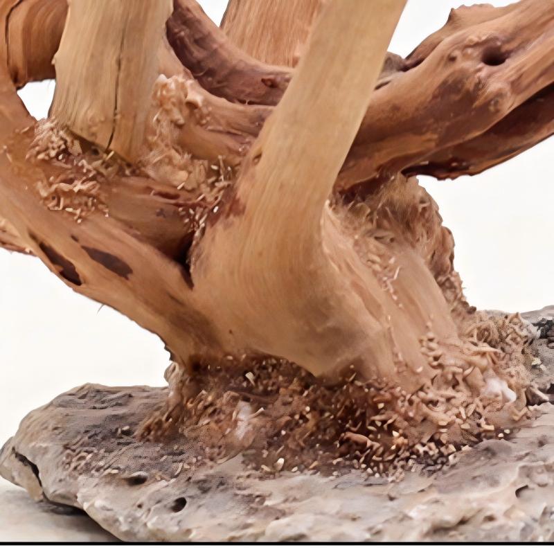 1PC Aquarium Landscaping Wood  - Aquarium Plant Roots recension och pris