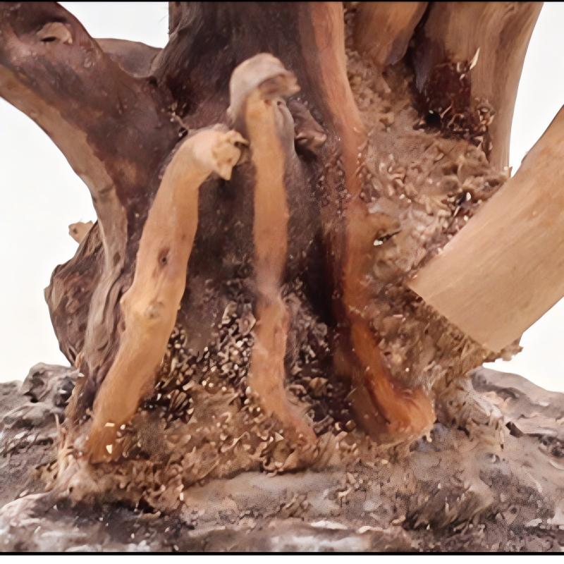 1PC Aquarium Landscaping Wood  - Aquarium Plant Roots recension och pris