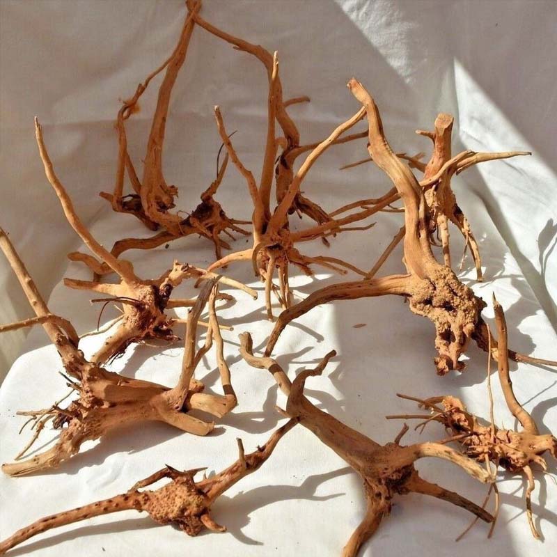1PC Driftwood for Aquarium,Nat - Aquarium Plant Root Tabs recension och pris
