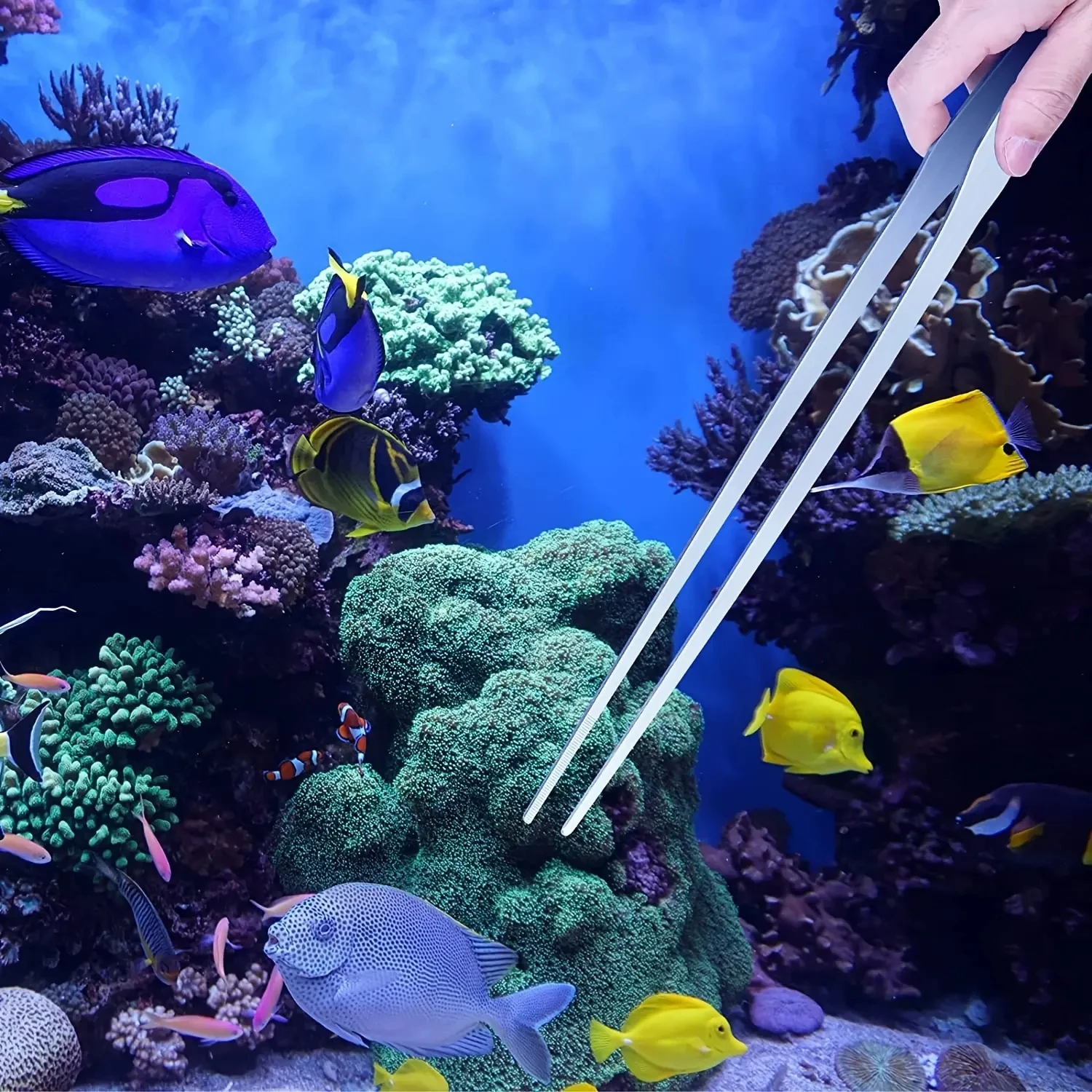 38cm Stainless Steel Aquarium  - Planted Clip Tweezers recension och pris
