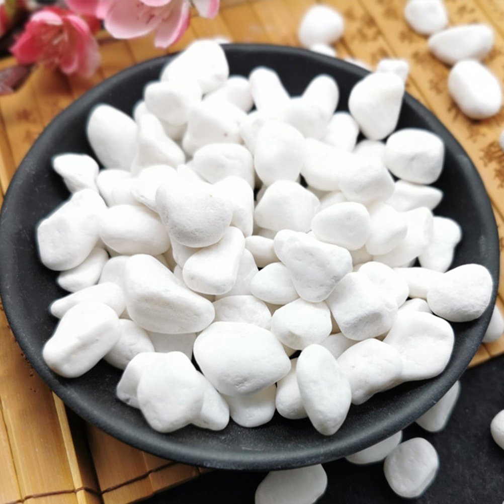 1Set Elegant White Decorative  - Planted Aquarium With Rocks recension och pris