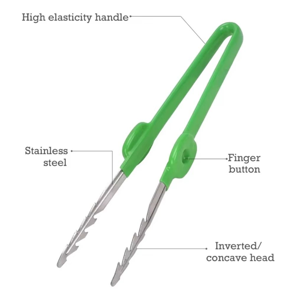 Stainless Steel Gardening Twee - Planted Clip Tweezers recension och pris